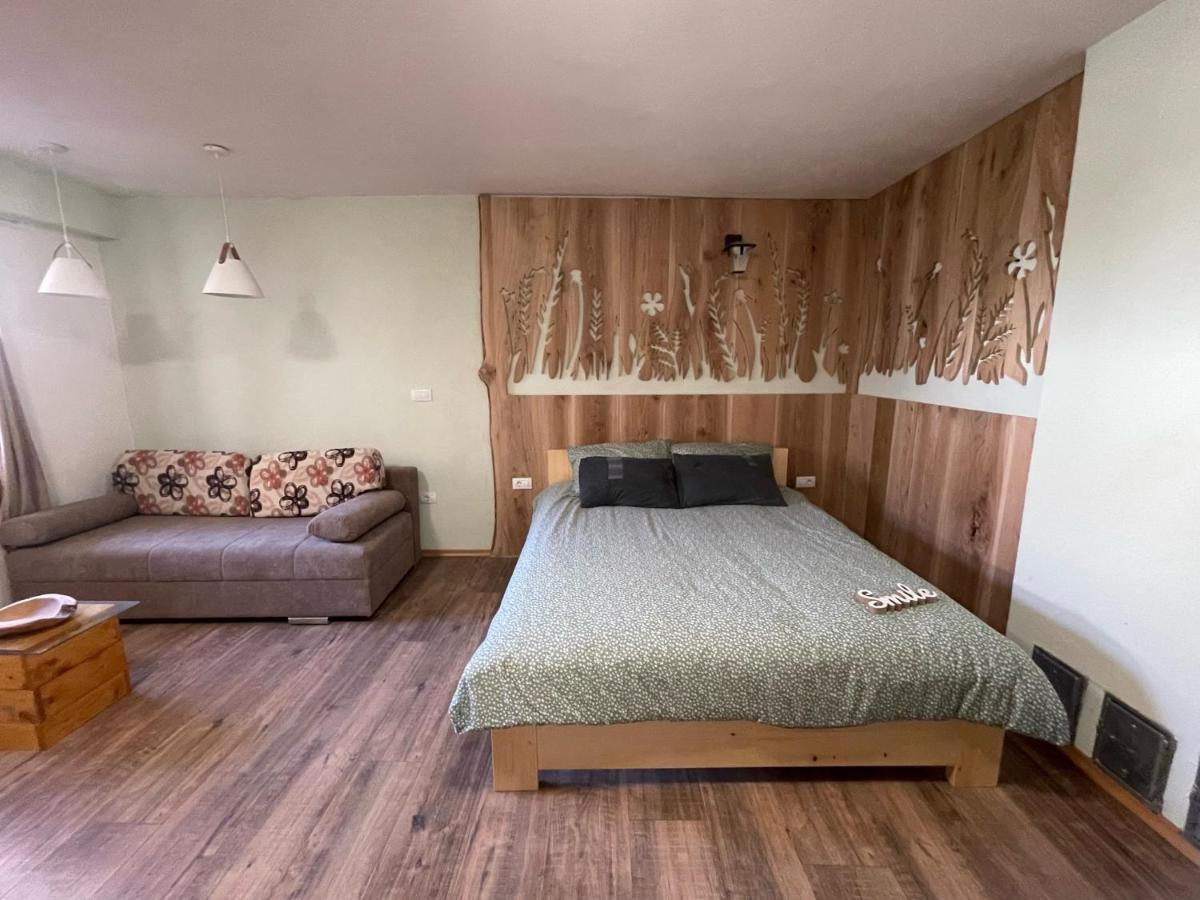 Old Square House - Hisa Na Starem Trgu Apartment Tolmin Ngoại thất bức ảnh