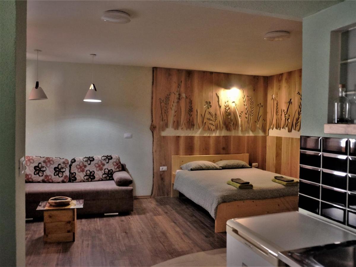 Old Square House - Hisa Na Starem Trgu Apartment Tolmin Ngoại thất bức ảnh